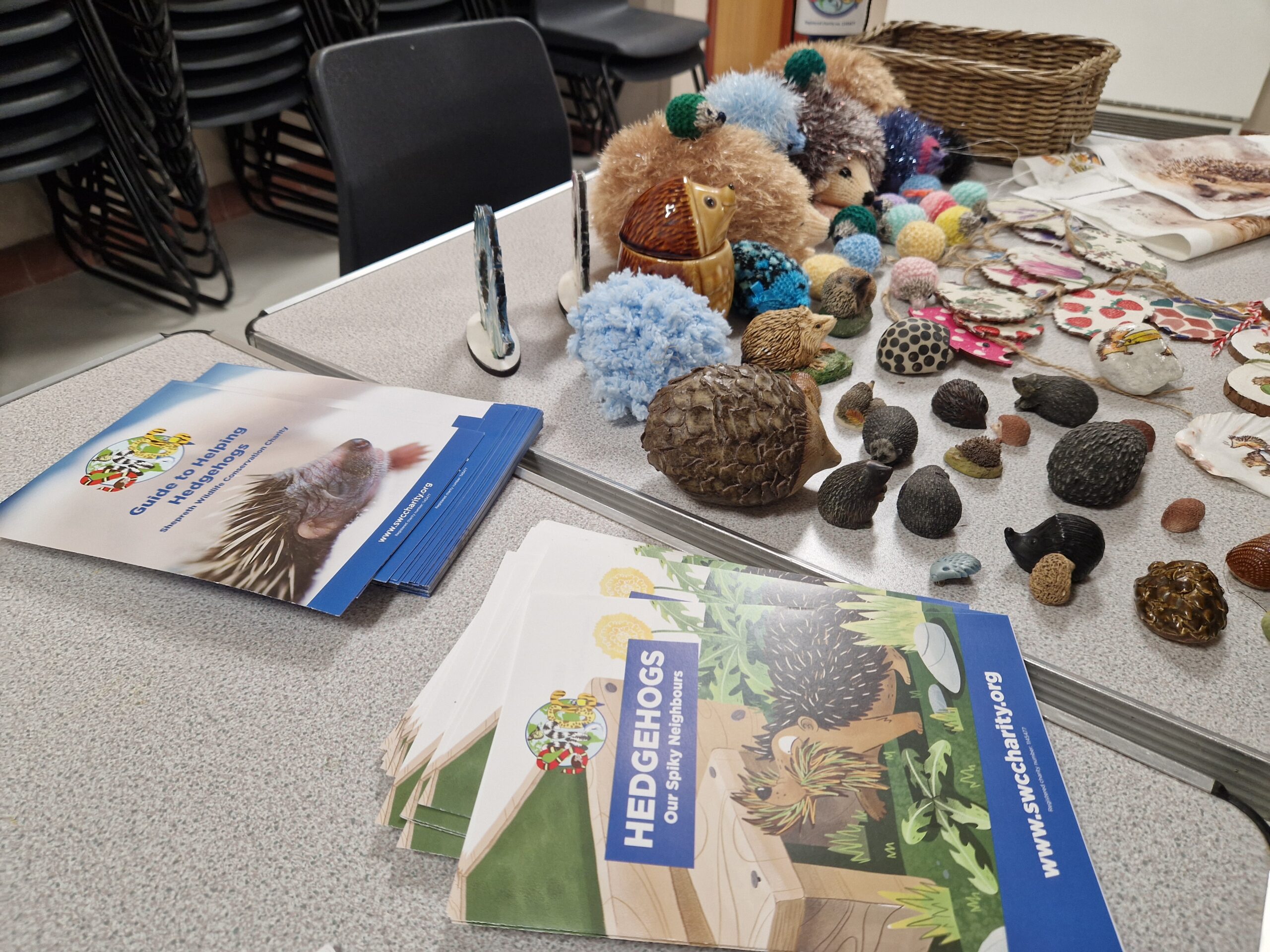 Display of hedgehog items (credit: Rebecca)