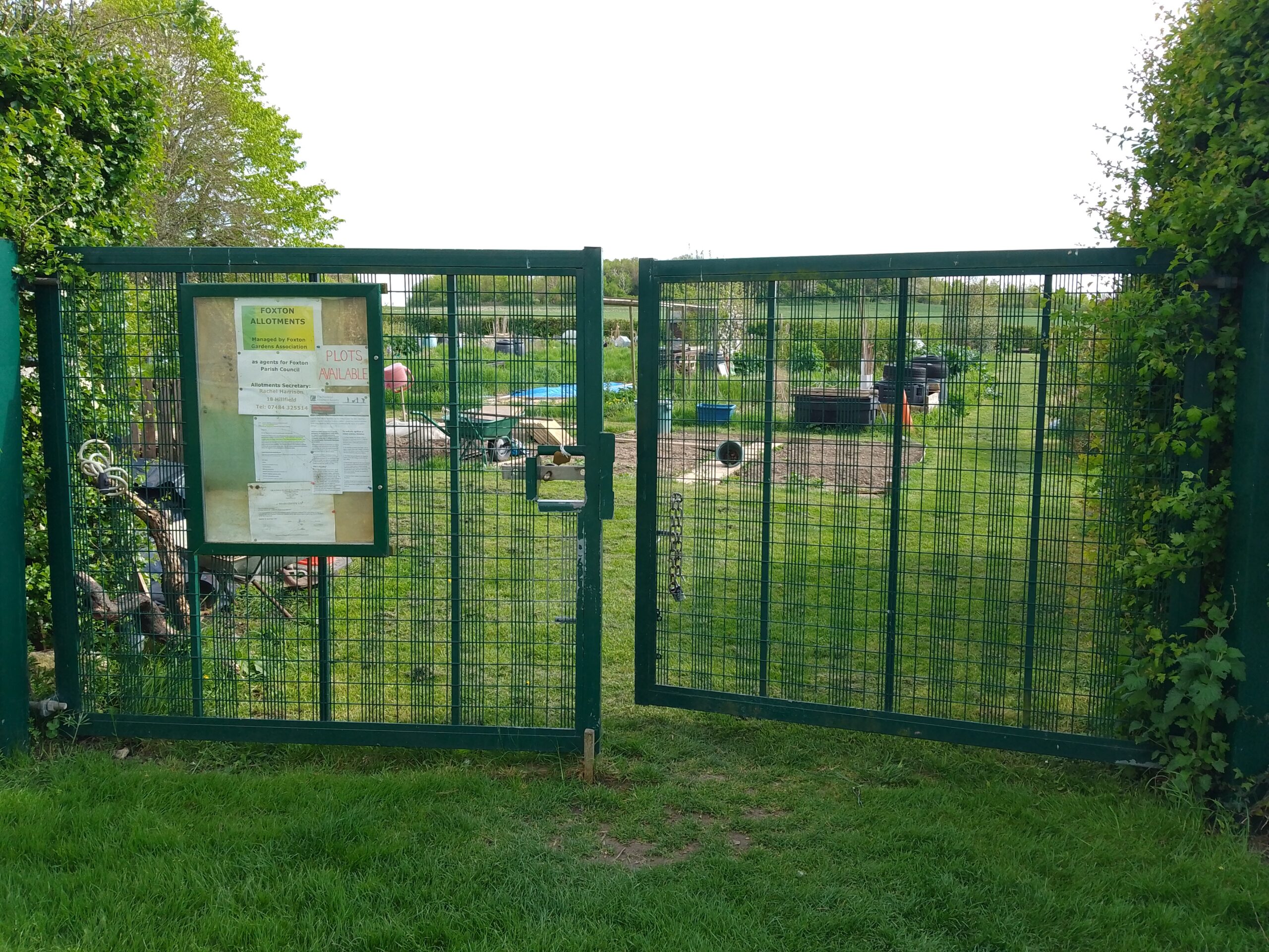 Foxton allotments (credit: Rachel)
